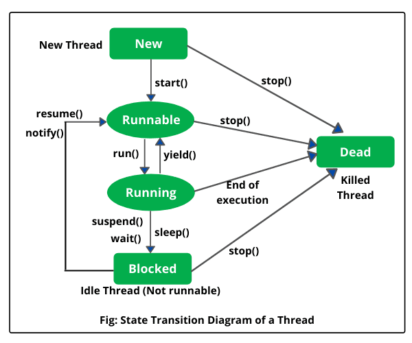 thread life cycle