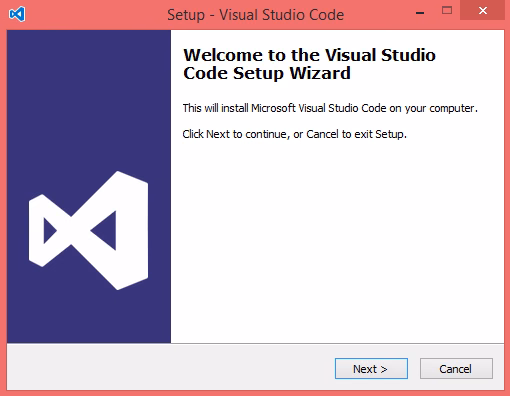 VS Code 安装向导