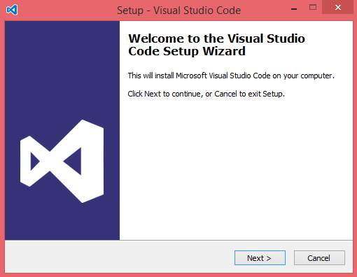 VS Code 安装向导